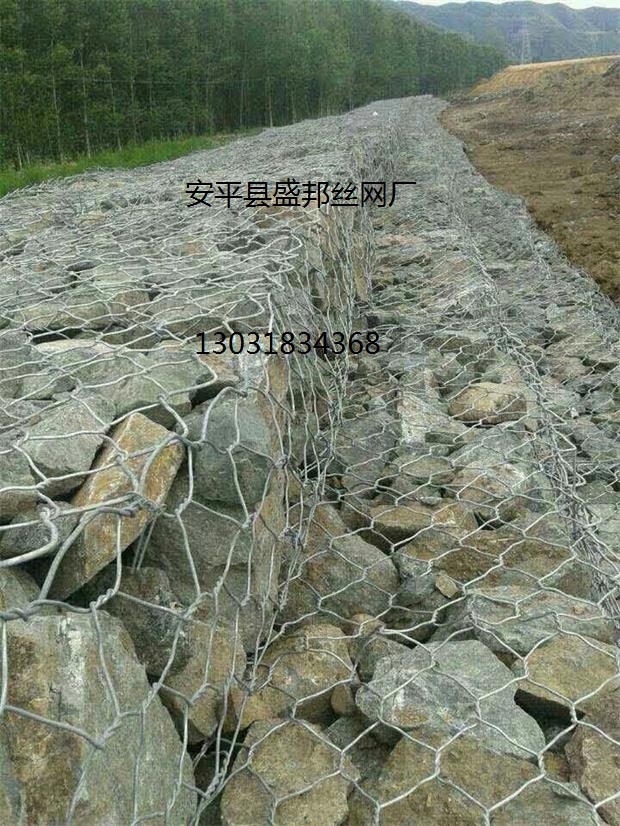 ����ɸ��